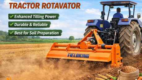 Mumbai, Farm/Garden, Transform Tough Fields Into Productive Land