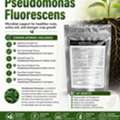 CAD 55, Root Zone Problems? Use Pseudomonas Fluorescens For Better Soil Care — Order Now