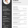 🌍 International Standard Resume (CV) Builder