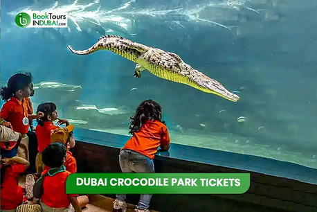 Dubai, Travel, Educational Experiences At Dubai Crocodile Park
