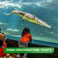Educational Experiences At Dubai Crocodile Park