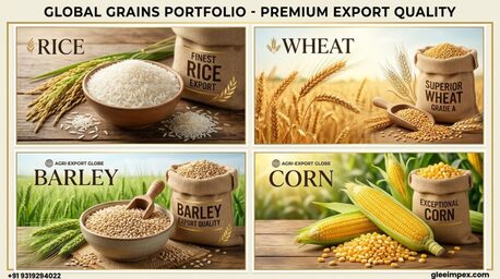 Mumbai, General, Top Grains Exporter In India &ndash; Premium Agro Products By Glee Impex