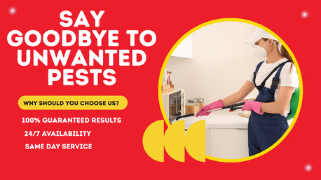 Sydney, Pest Control, Pest Control Sebastopol &ndash; Safer Homes, Pest-Free Living