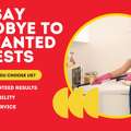 Pest Control Sebastopol &ndash; Safer Homes, Pest-Free Living