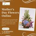 Mother's Day Flowers Online