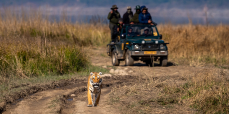 Mumbai, Travel, Corbett Online Booking &ndash; Safari, Tours & Forest Rest Houses