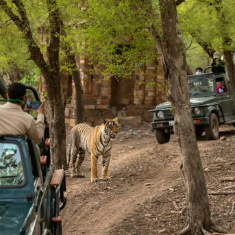 Mumbai, Travel, Corbett Online Booking &ndash; Safari, Tours & Forest Rest Houses