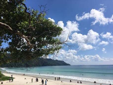 Mumbai, General, Best Beaches Near TSG Resorts In Neil Island & Havelock Island