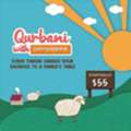 Qurbani Donation Canada 2026 &ndash; Fulfill Your Obligation From $55 | Penny Appeal Canada