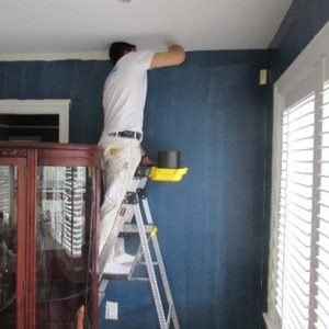 Victoria, Business, Interior Painting Services In Greater Victoria BC