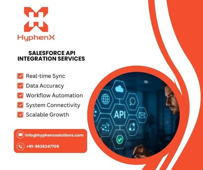 New York, Software Development, Salesforce API Integration Services​