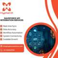 Salesforce API Integration Services​