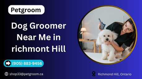 Toronto, Beautician, Dog Groomer Near Me In Richmond Hill | Professional Grooming By Petgroom