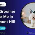Dog Groomer Near Me In Richmond Hill | Professional Grooming By Petgroom