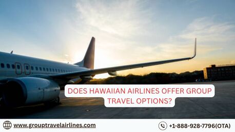 New York, Travel, Does Hawaiian Airlines Offer Group Travel Options?