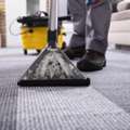 Professional Carpet Cleaning Services In Birmingham For Fresh Homes