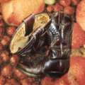SAR 600,  Vintage Sendra Boots For Men
