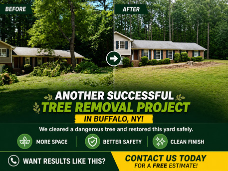 New York, Construction, Branch Specialists Offers Expert Tree Removal, Trimming, Stump Grinding & 24/7 Emergency S
