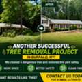 Branch Specialists Offers Expert Tree Removal, Trimming, Stump Grinding & 24/7 Emergency S