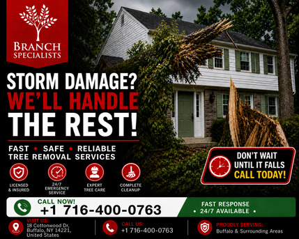 New York, Construction, Branch Specialists Offers Expert Tree Removal, Trimming, Stump Grinding & 24/7 Emergency S
