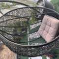 BHD 40,  For Sale Swing Chair At Good Condition.