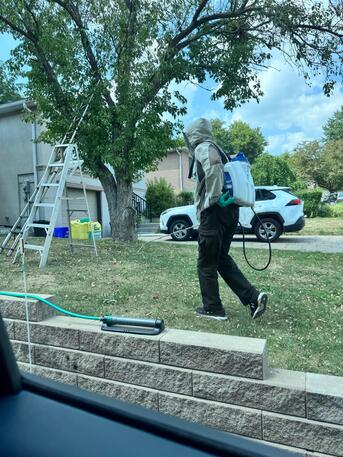 Toronto, Pest Control, PESTBYE PEST CONTROL | Pest Control Service In Scarborough