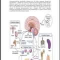 Expert Assignment Writing & Medical Research Services (Ready-to-Print)