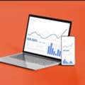 Google Ads Consultant