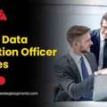 Expert Virtual Data Protection Officer For Privacy & Security