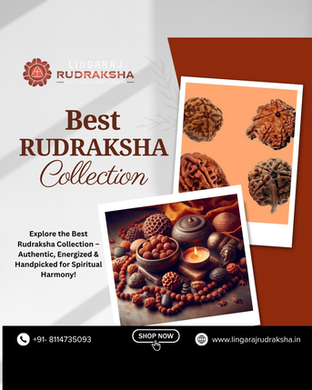 Bangalore, Jewelry, Trusted Rudraksha Shop In Bangalore