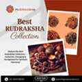 Trusted Rudraksha Shop In Bangalore
