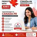 Learn French With Anks - TEF/TCF Canada PR Orientated Classes Online