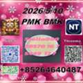 CNY 100, CAS 5449-12-7 BM.K And Cas28578-16-7 PM.K/New Arrivals Avaliable