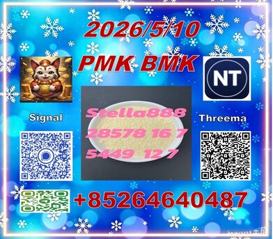 Hong Kong, Materials, CNY 100,  Supply China Reliable Supplier PM.K CAS 28578-16 -7/ 49851-31-2