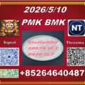 CNY 100,  People Like CAS 28578-16-7 P-MK And CAS5449-12-7 B-MK