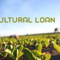 Instant Personal Loan