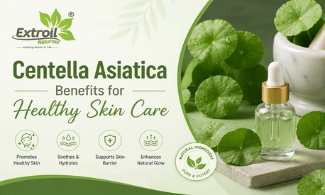 Ahmedabad, Health & Beauty Items, Centella Asiatica Benefits For Healthy Skin Care