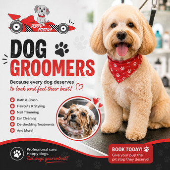 New York, Pet Sitting, Dog Boarding In Brownsburg, Indiana | Puppy Pitstop