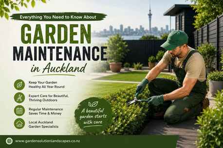 Auckland, Farm/Garden, Everything You Need To Know About Garden Maintenance In Auckland