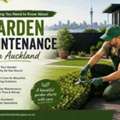 Everything You Need To Know About Garden Maintenance In Auckland