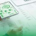 ESG Reporting UAE Solutions For Sustainable Business Growth