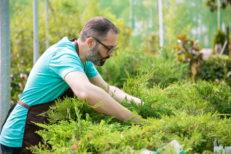 Toronto, General, Landscaping Solutions For Homes And Businesses In Halifax