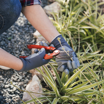 Toronto, General, Landscaping Solutions For Homes And Businesses In Halifax