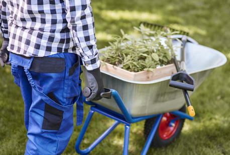 Toronto, General, Landscaping Solutions For Homes And Businesses In Halifax