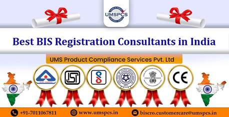 Noida, Business Partners, BIS Consultant In India