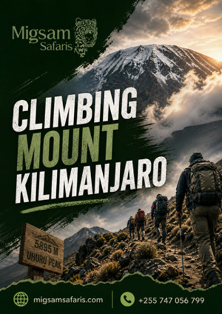 Dar es Salaam, Travel, Get Climbing Mount Kilimanjaro With Expert Local Guides