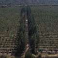 Why Real Estate Buyers Want To Buy Plots In Nagpur