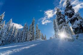 New Delhi, Travel, Himachal/ Shimla Hills 2 Nights 3 Days INR:4900/-