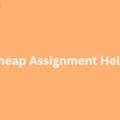 What Are The Best Options For Cheap Assignment Help?