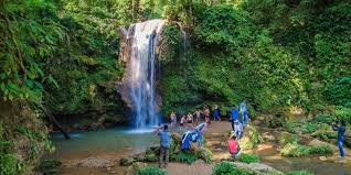 New Delhi, Travel, Corbett National Park Package 2 Nights 3 Days INR:6900/-